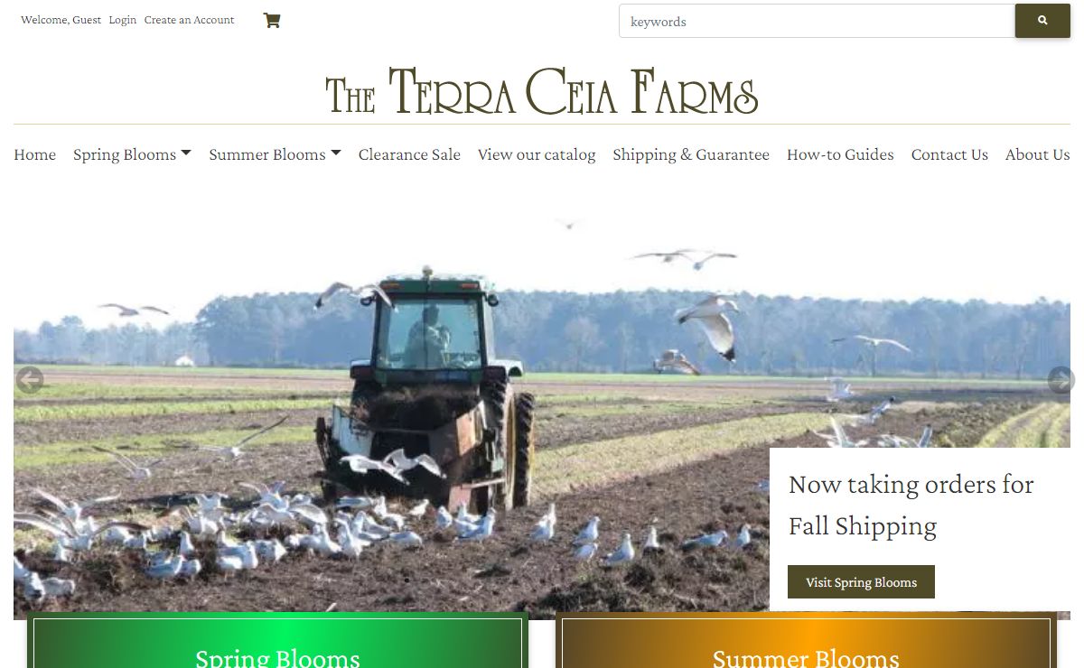 Flower Bulbs Online | Mail Order Flower Bulbs - Terra Ceia Farms