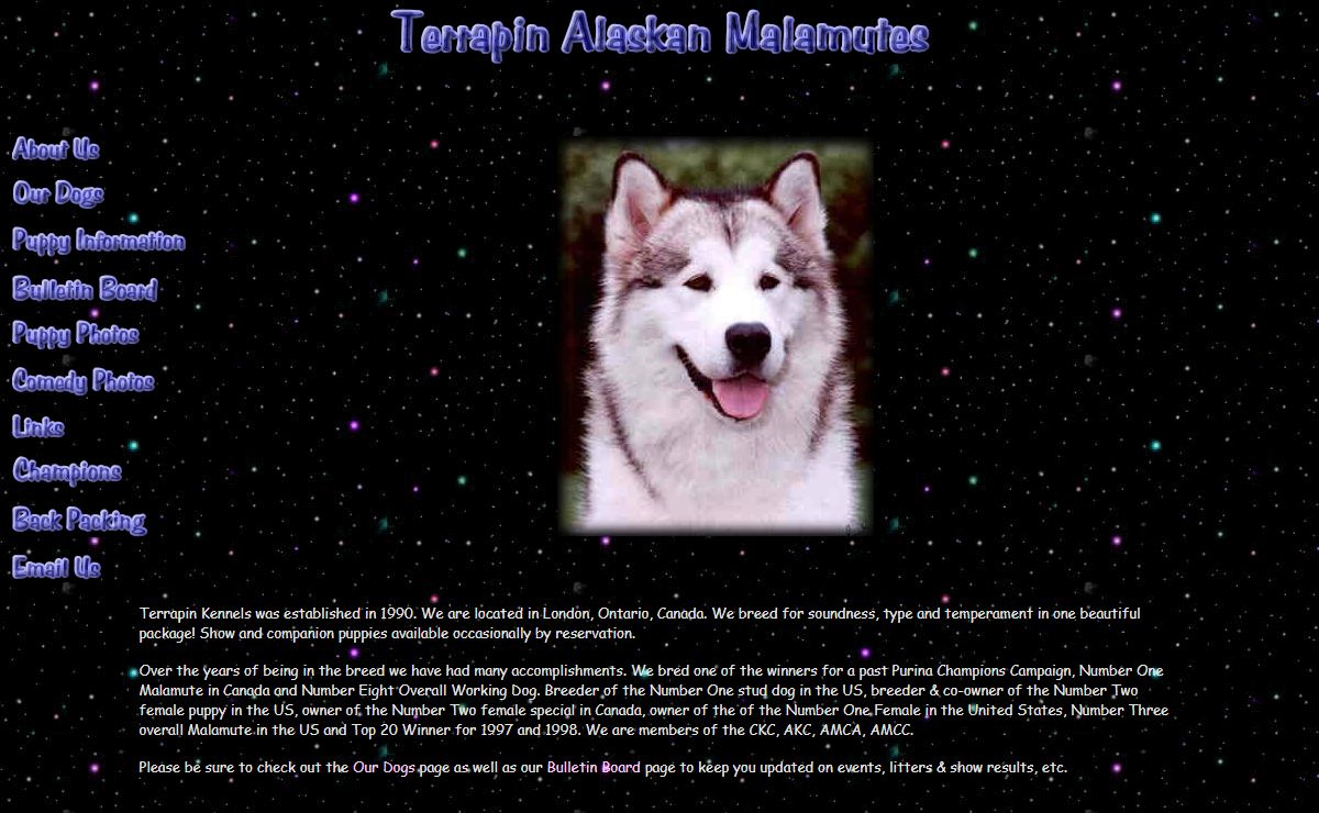 Terrapin Registered Alaskan Malamutes