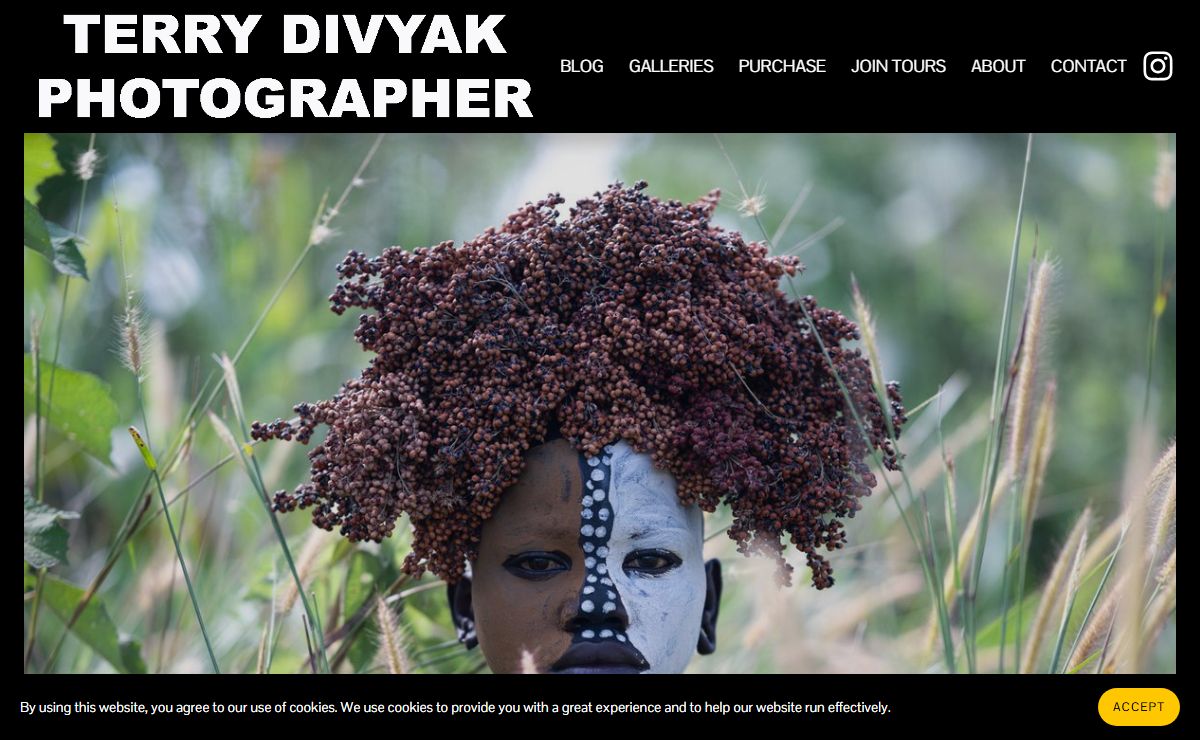 Terry Divyak - Photographer