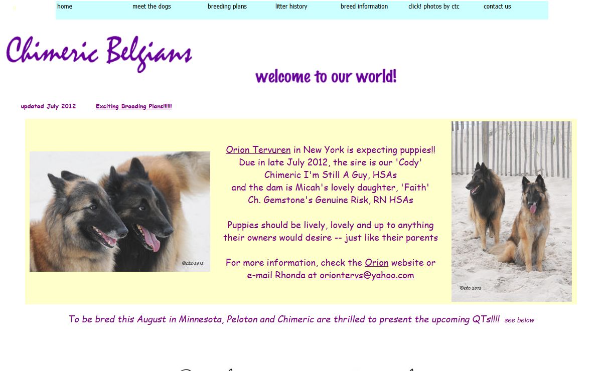 welcome to tervs.com....home of the Chimeric Belgian Tervuren