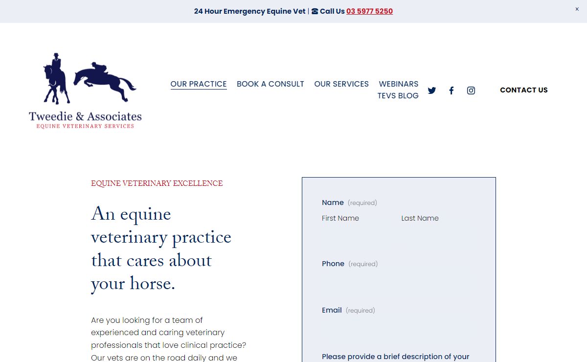 Horse Vet - Equine Clinic SomerVille | Tweedie & Associates