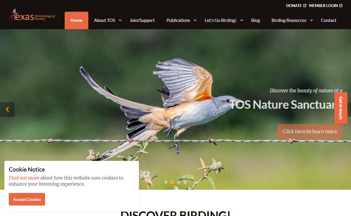 Home | Texas Ornithological Society