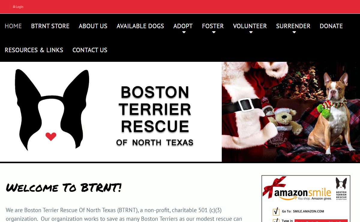 Welcome To BTRNT | Boston Terrier Rescue Of North Texas