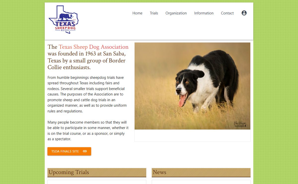 Texas Sheep Dog Association | Texas Sheep Dog Association