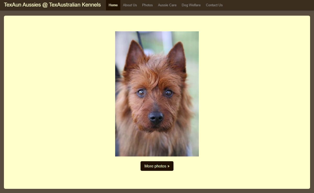 TexAun Aussies @ TexAustralian Kennels
