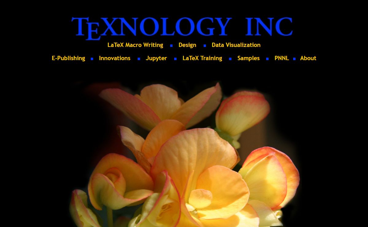 TeXnology Inc., LaTeX Consulting