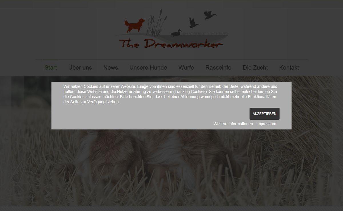 The Dreamworker Kennel - Start