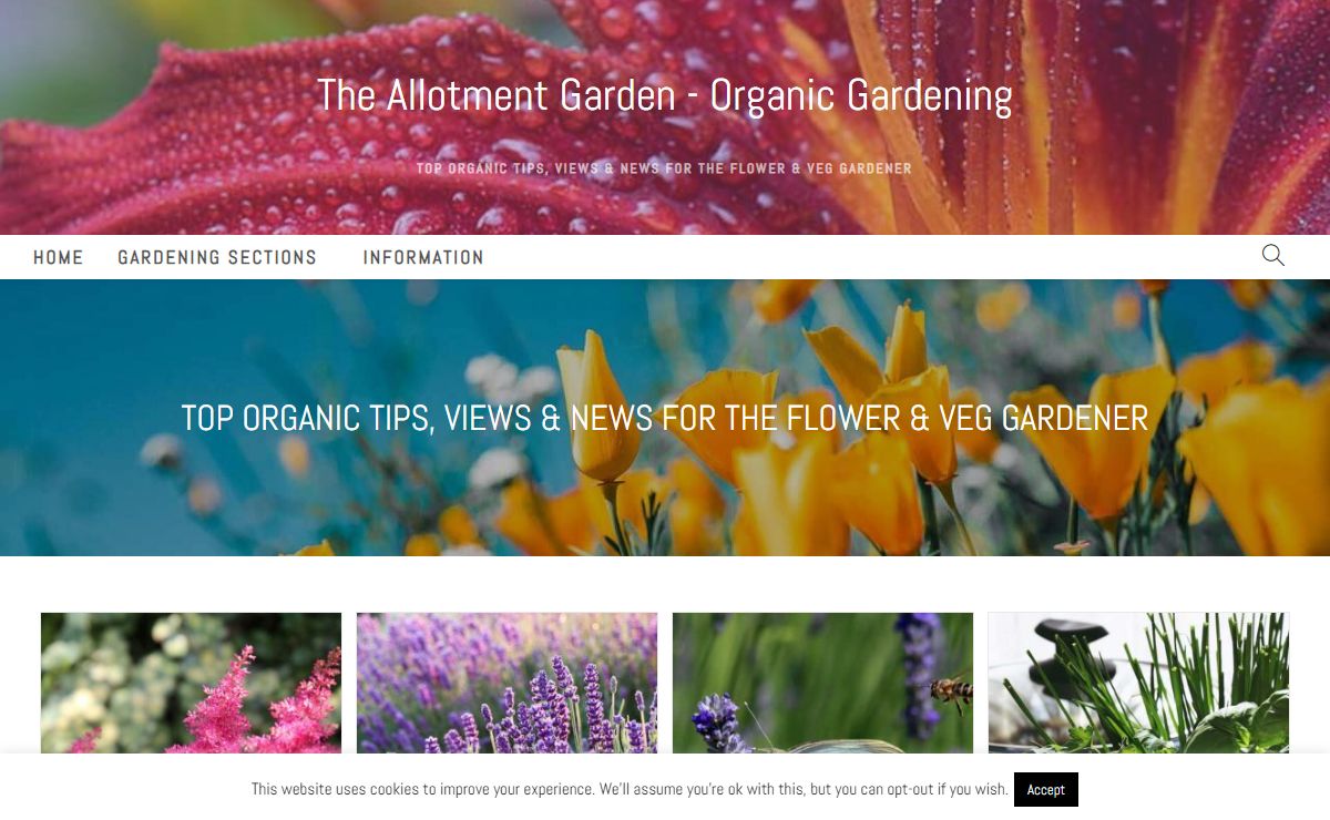 Allotment Garden | A Guide to Everything Organic Gardening