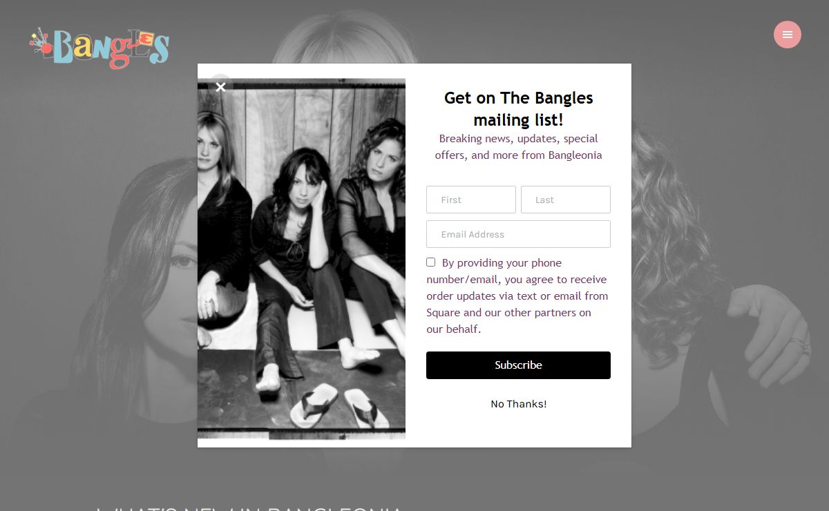 Official website of chart-topping band THE BANGLES