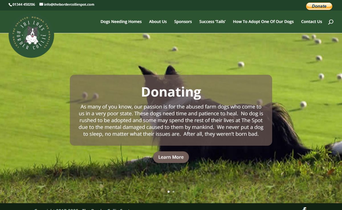 The Border Collie Spot | Border Collie Rescue Centre