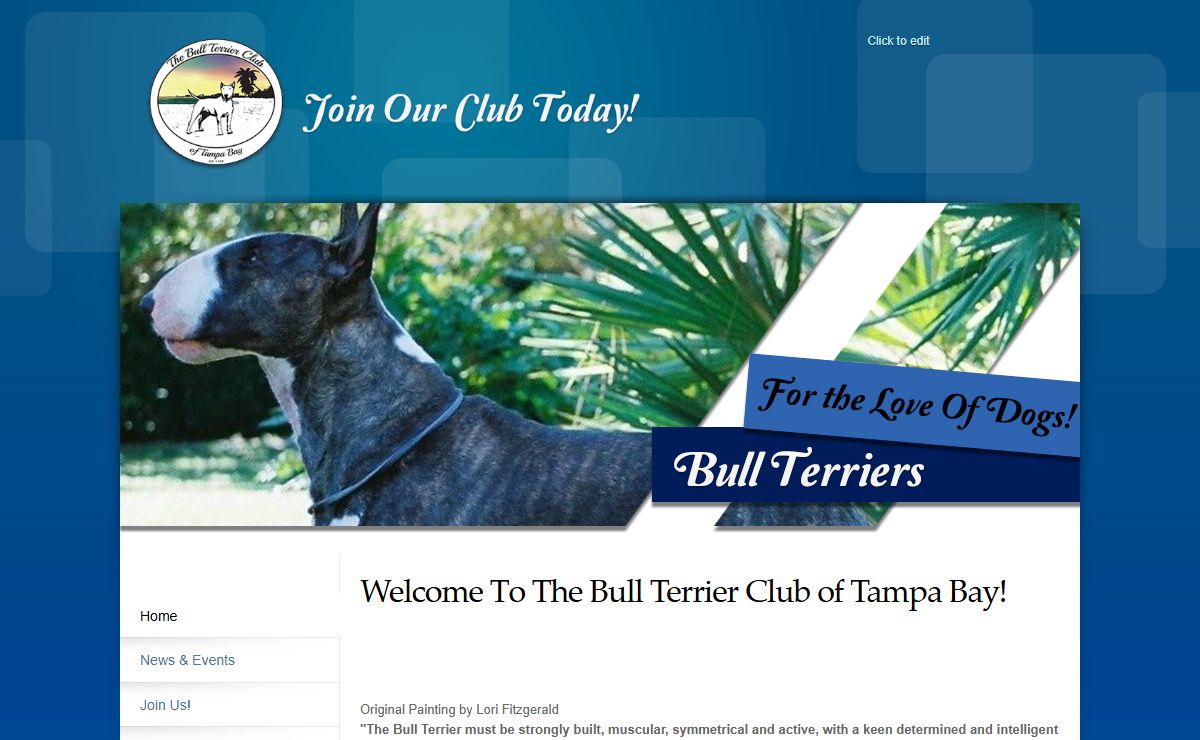 Bull Terrier Club | The Bull Terrier Club of Tampa Bay - Welcome To The Bull Terrier Club of Tampa Bay!