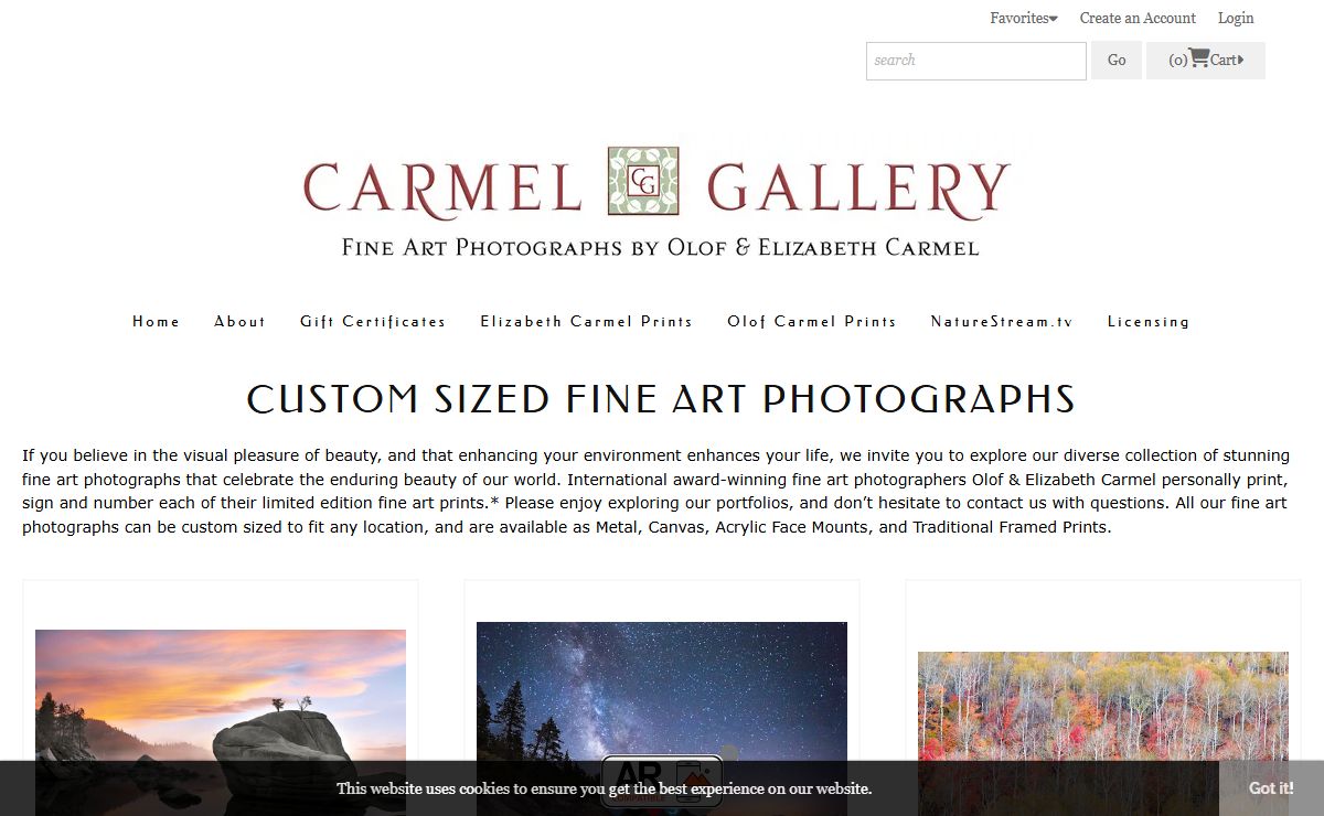 Shop Art | The Carmel Gallery