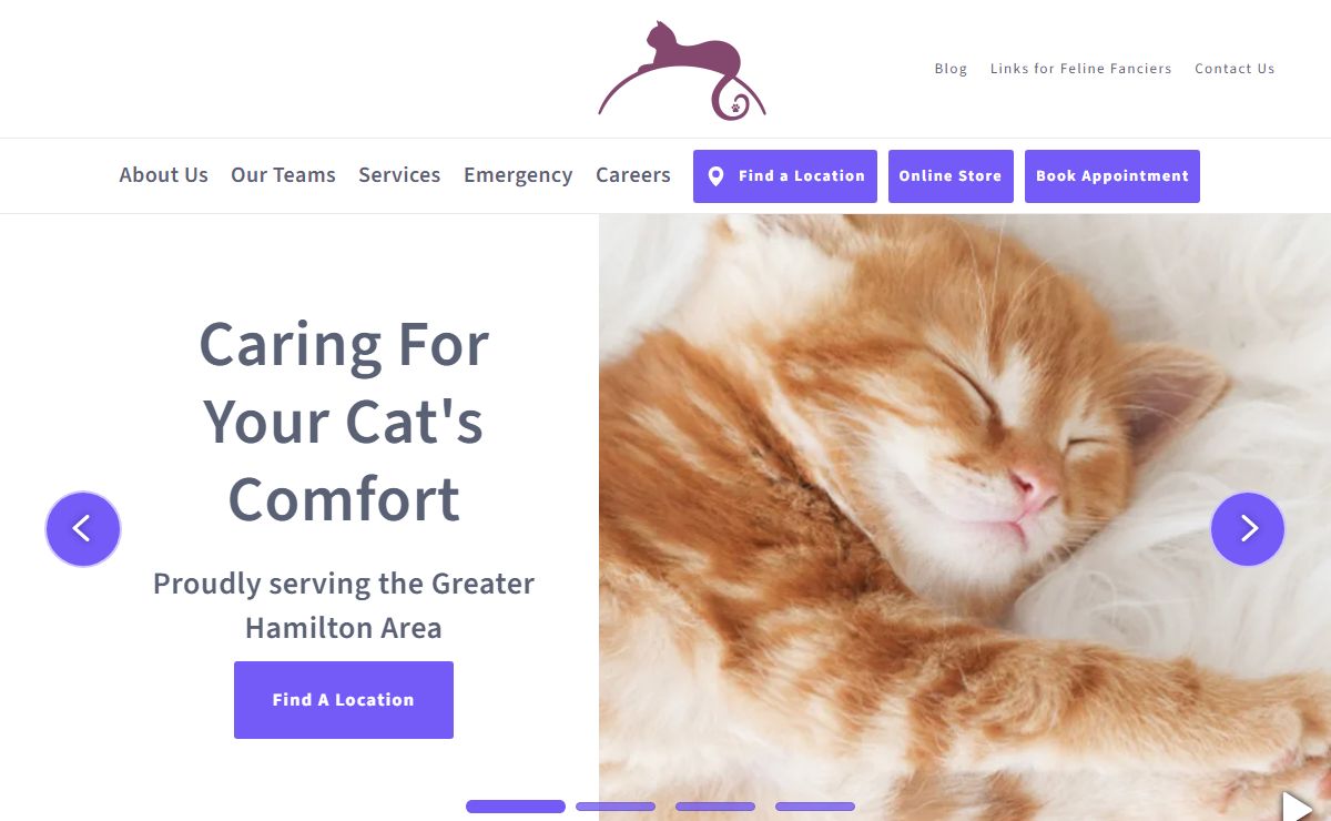 Family Cat Hospital in Hamilton, ON | The Cat Clinic