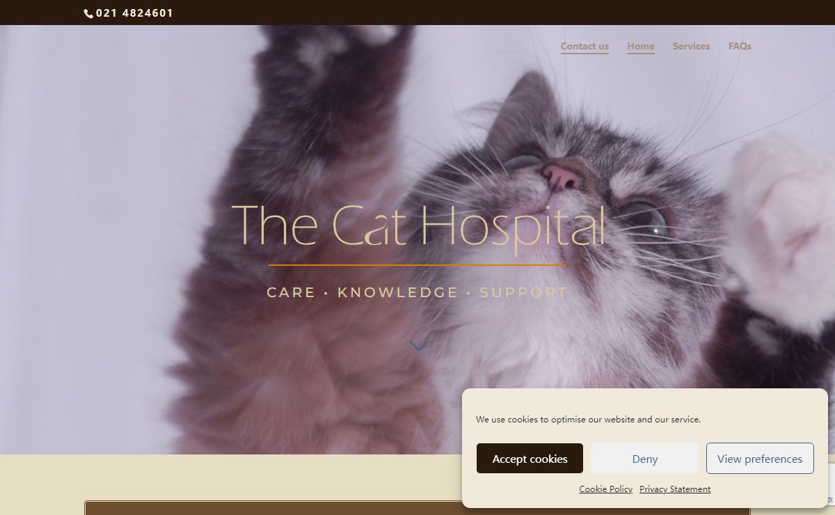 The Cat Hospital | Care | Knowledge | Support