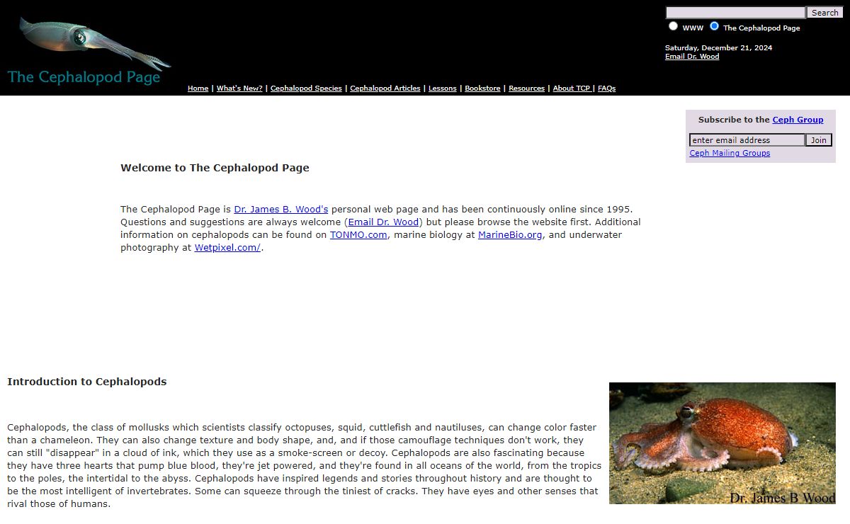 Octopus, Squid, Cuttlefish, and Nautilus - The Cephalopod Page