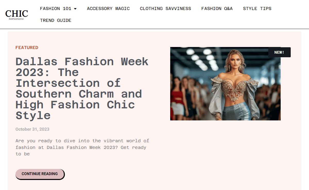 The Chic Fashionista