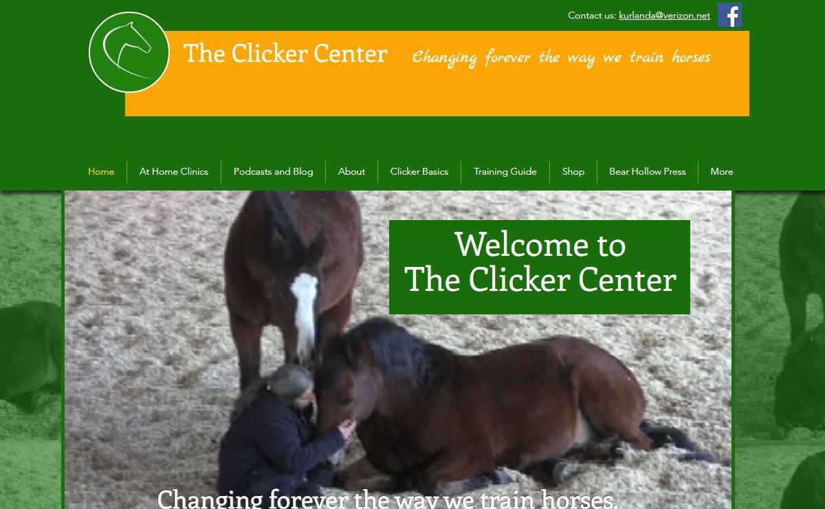 The Clicker Center Home Page