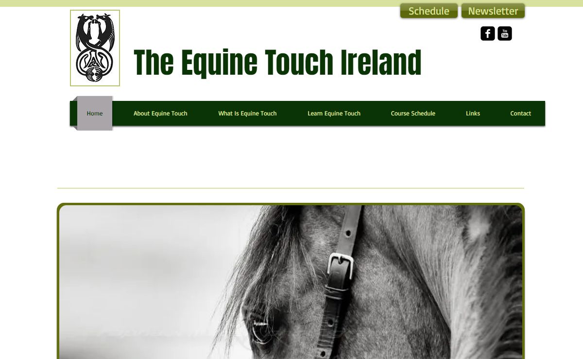The Equine Touch Ireland