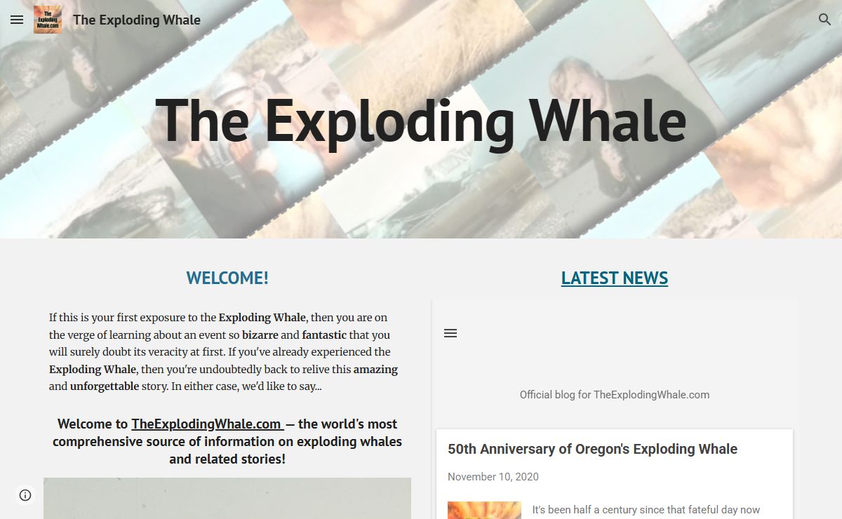 The Exploding Whale