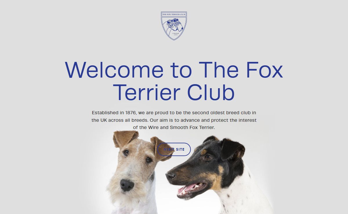 The Fox Terrier Club