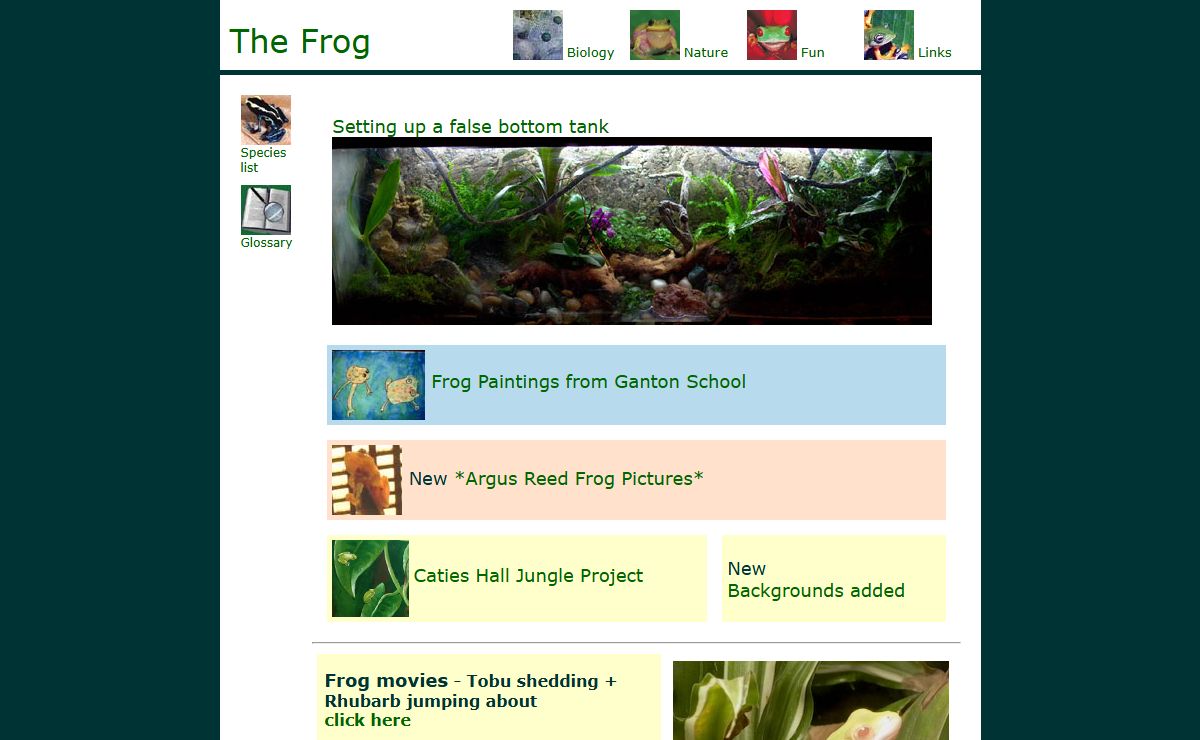 The frog