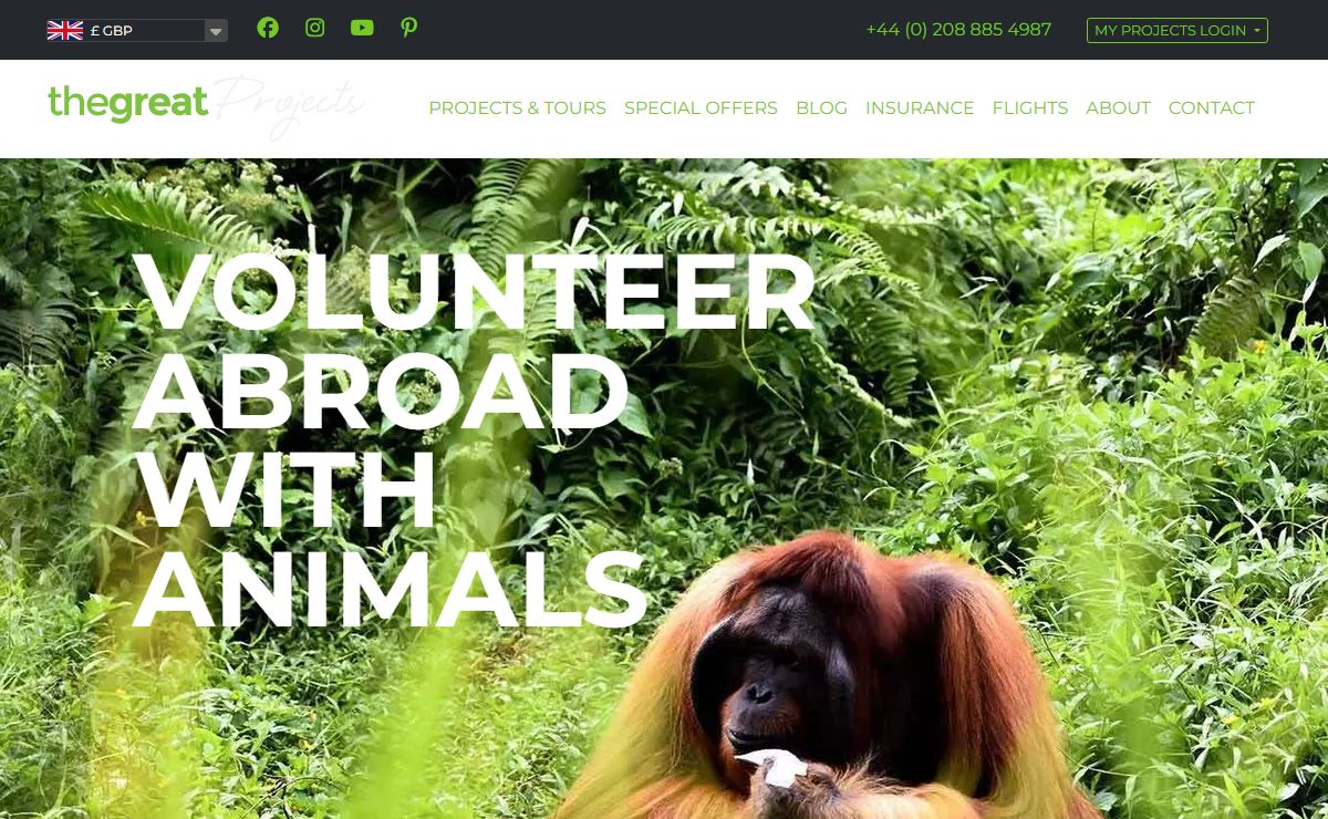 Volunteer Abroad with Animals | The Great Projects