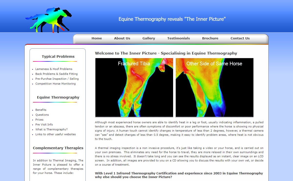 Equine Thermography from The Inner Picture