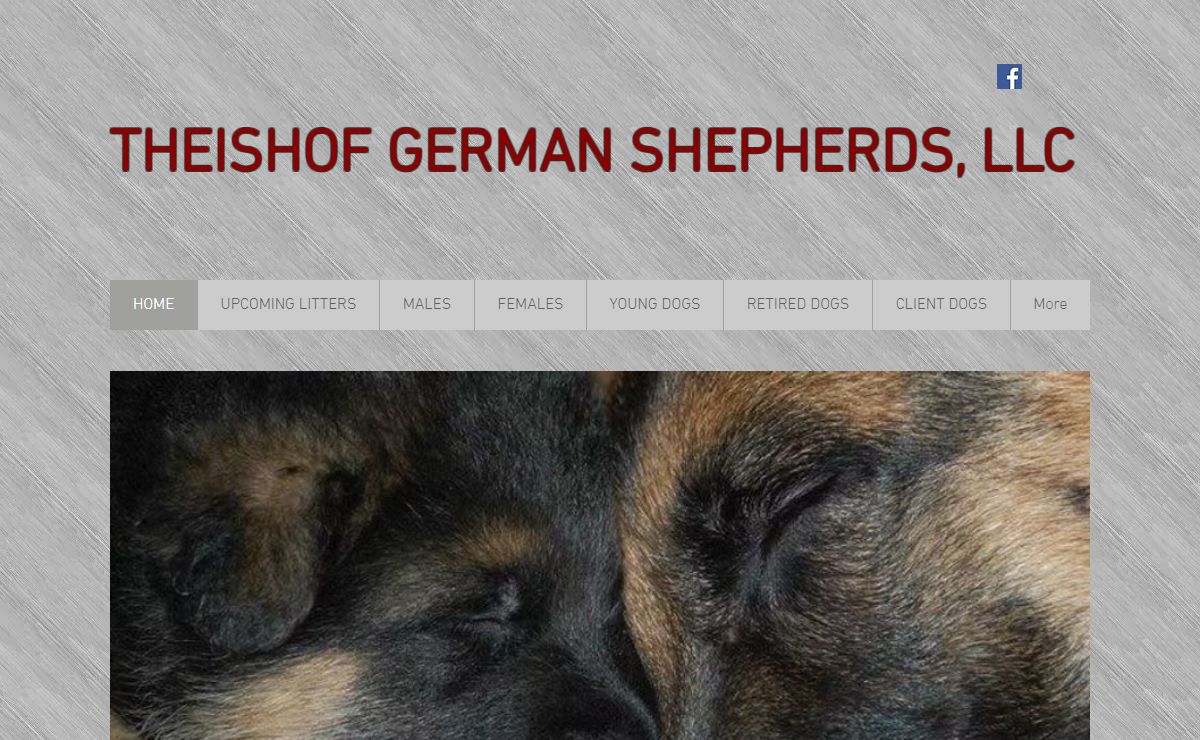 German Shepherd Breeder Idaho | Theishof German Shepherds, LLC