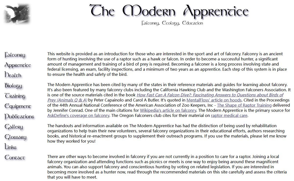 The Modern Apprentice