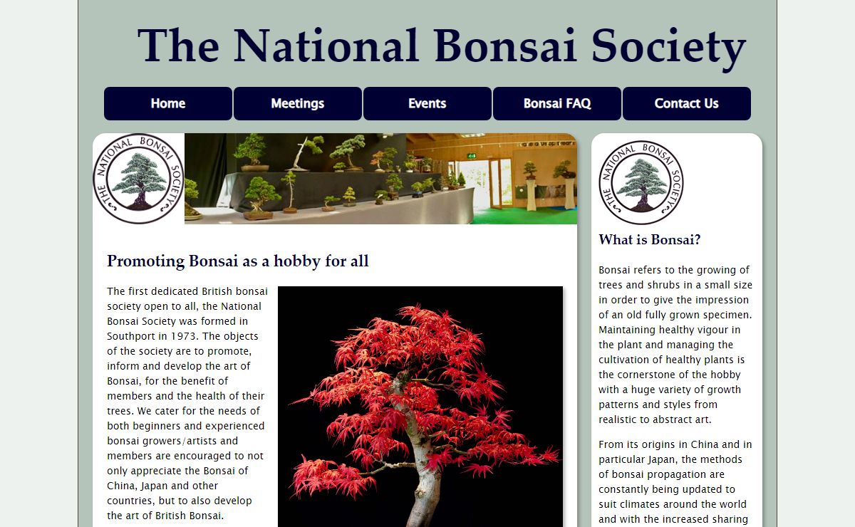 The National Bonsai Society