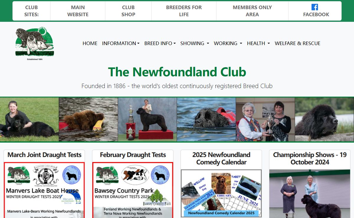The Newfoundland Club - Homepage