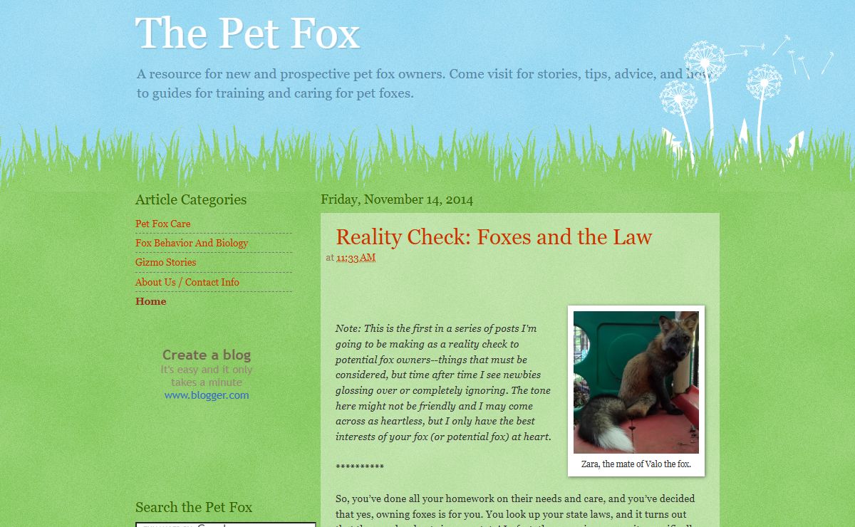The Pet Fox