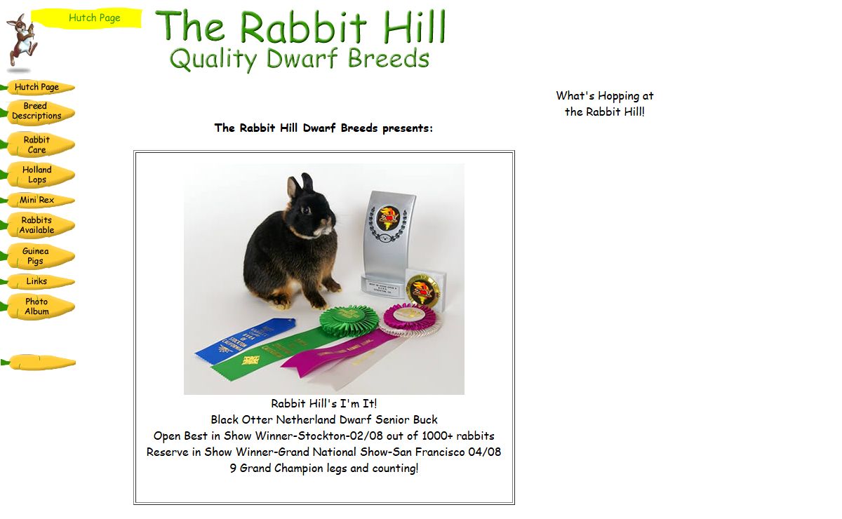 The Rabbit Hill Quality Dwarf Breeds - Mini Rex and Holland Lops