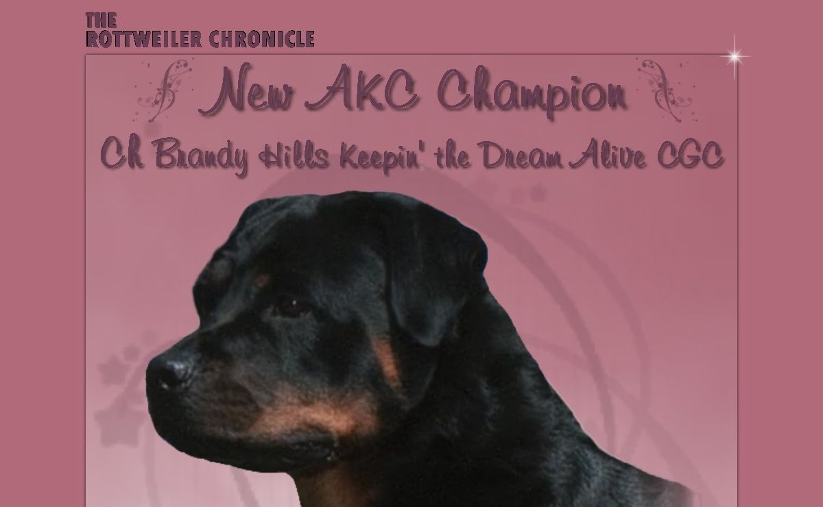 Rottweiler | Rottweiler Publication | Rottweilers | The Rottweiler Chronicle | Rottweiler breeders | The Premiere online source for everything about the Rottweiler
