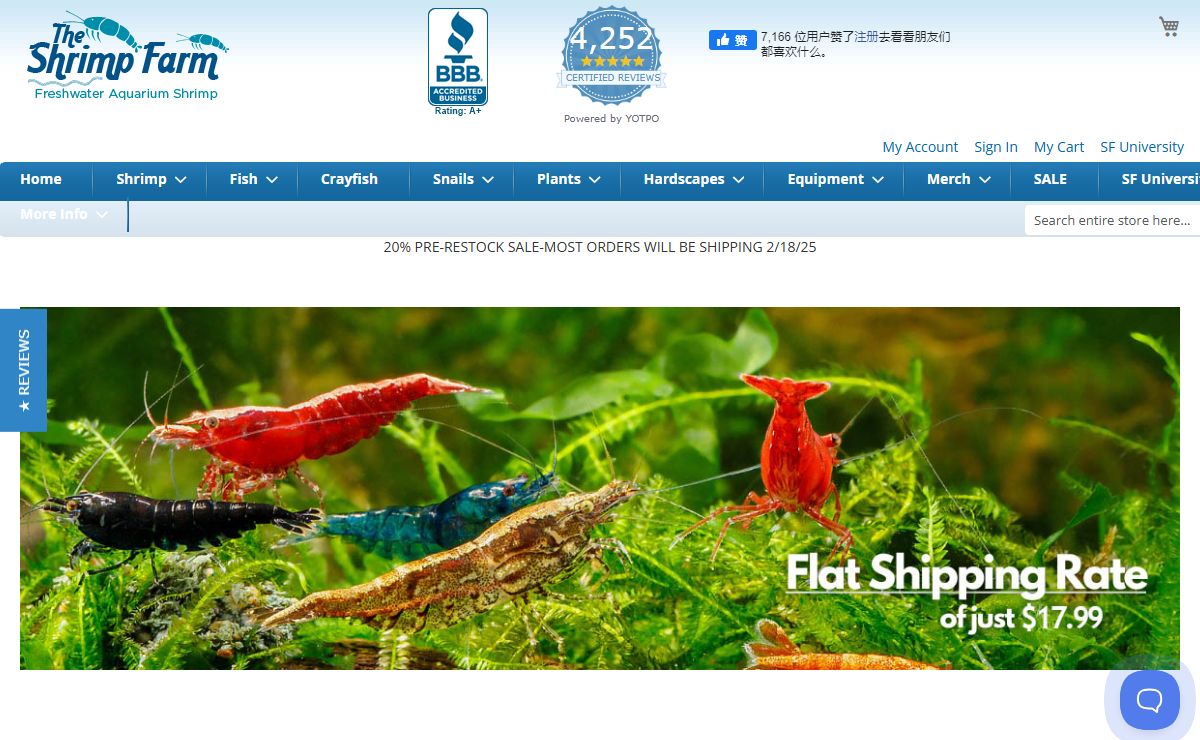 Freshwater Aquarium Shrimp - TheShrimpFarm.com