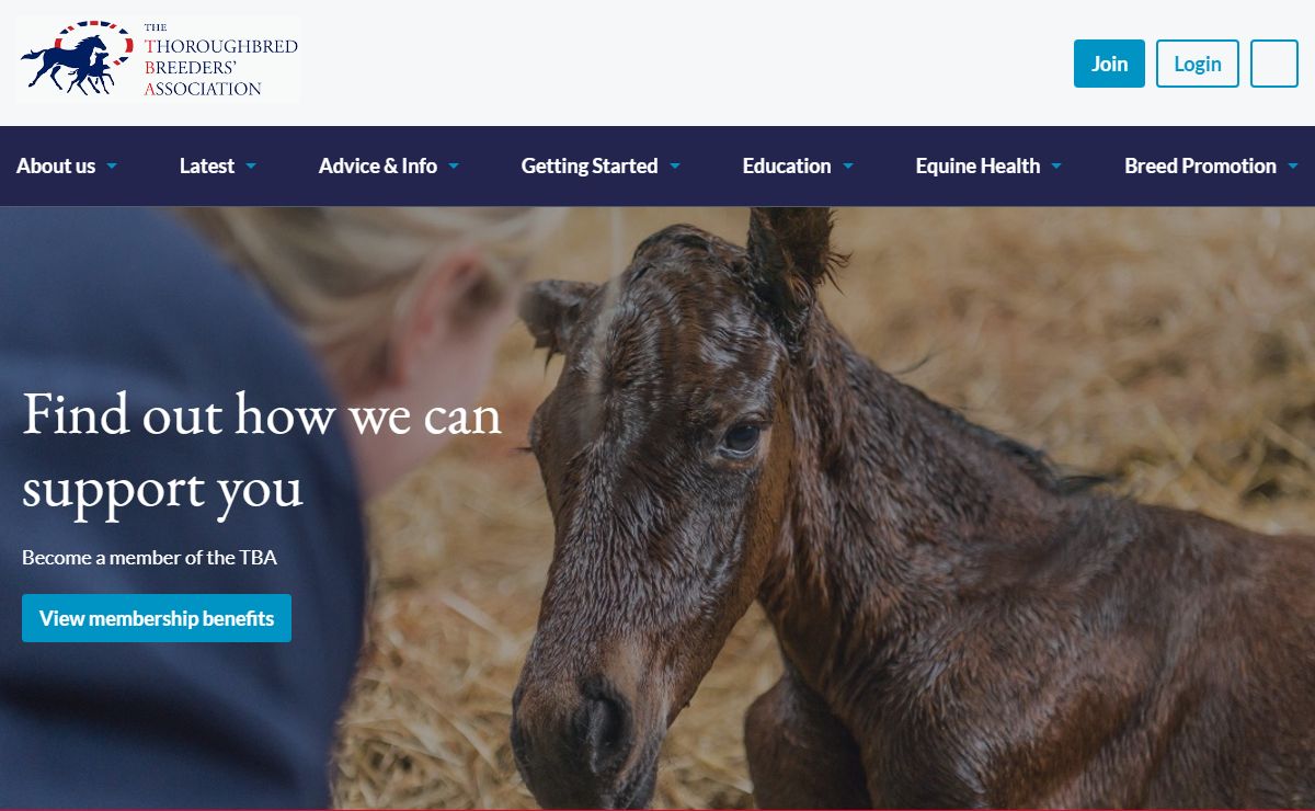 Homepage