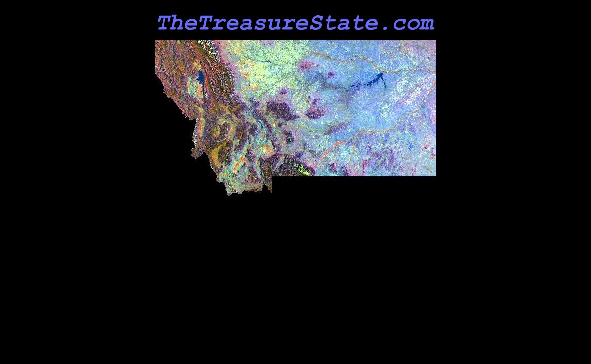 The Treasure State Dot Com