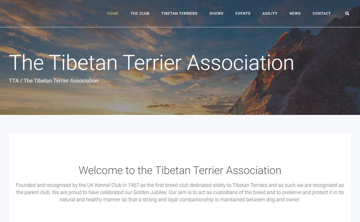 Tibetan Terrier Association - The home of the UK TTA