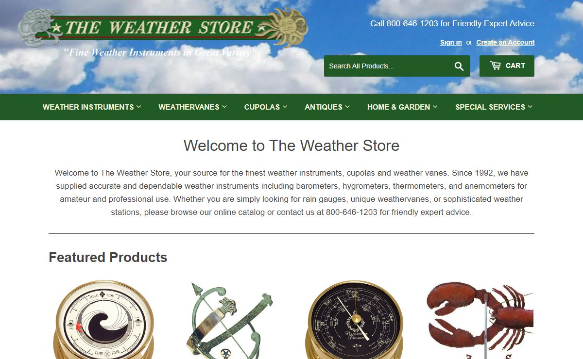 The Weather Store