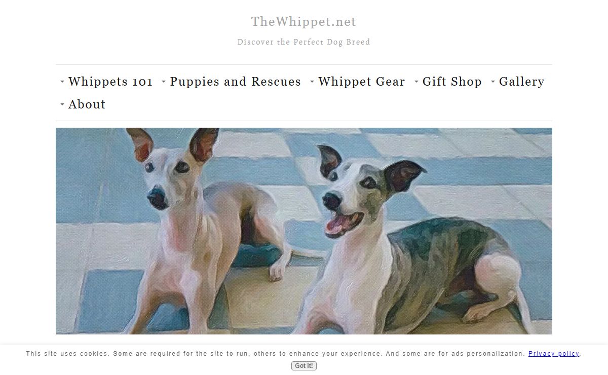 Whippet Stories, Info, Pics and Tips