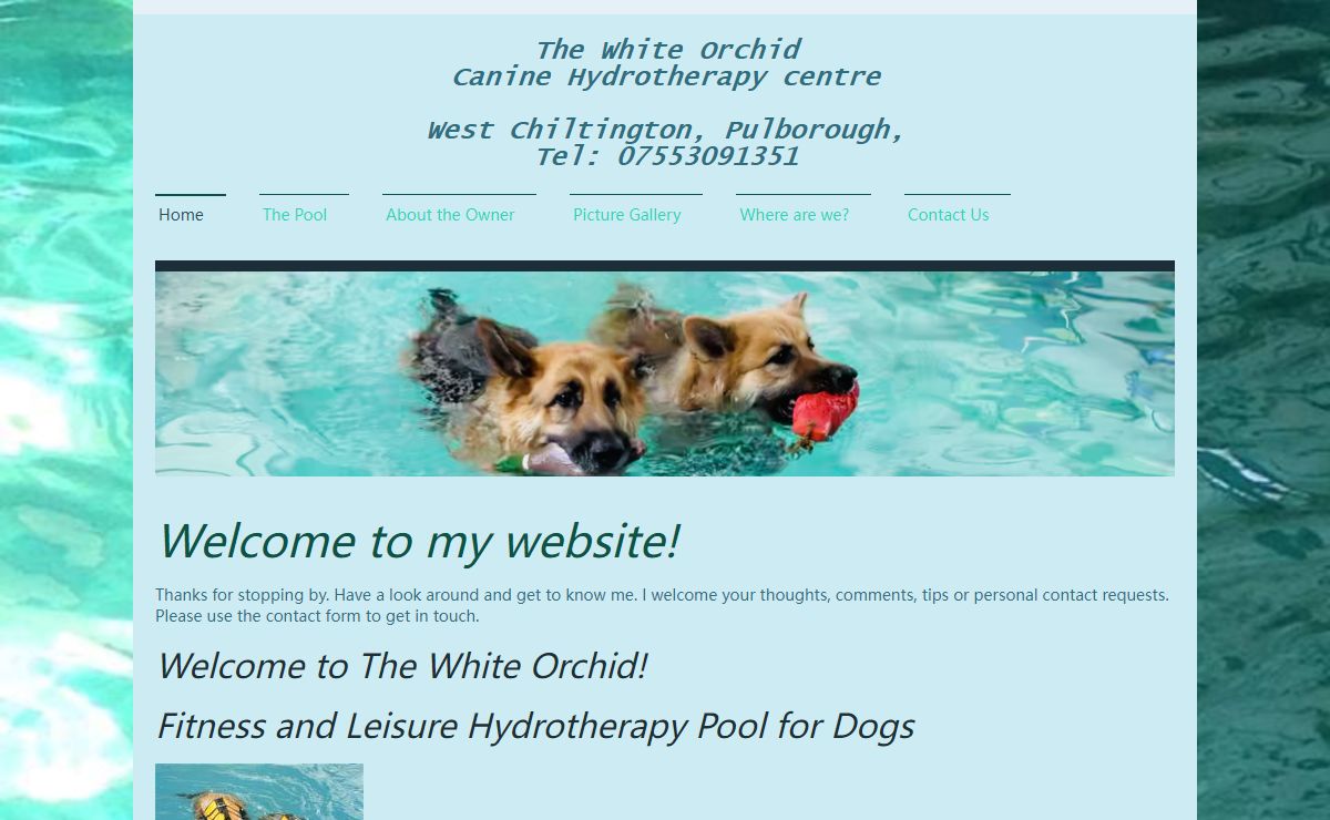 The White Orchid - Home