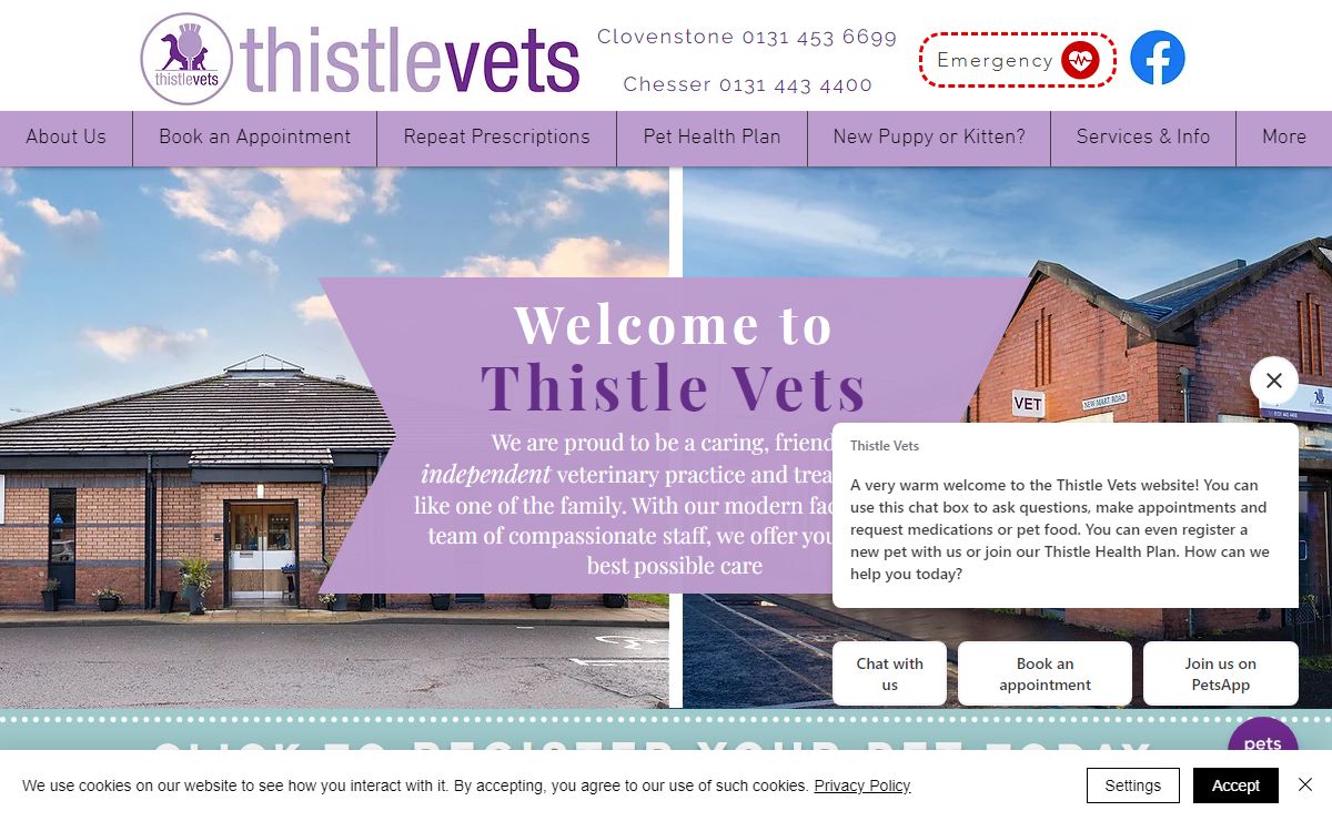 Thistle Vets | low cost vet clinics near me