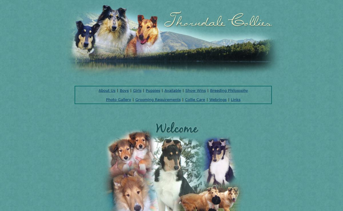 Thorndale Collies in Wisconsin :: Collie Breeder
