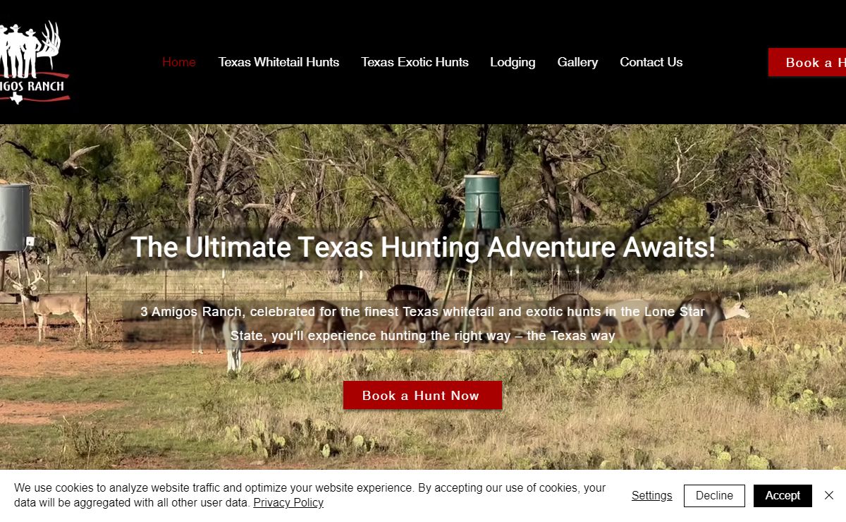 Texas Whitetail Deer Hunting & Exotic Hunts | Three Amigos Ranch