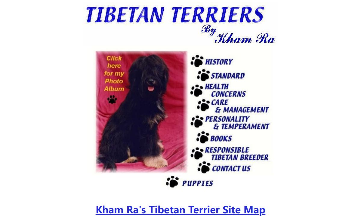 Tibetan Terrier By Kham Ra