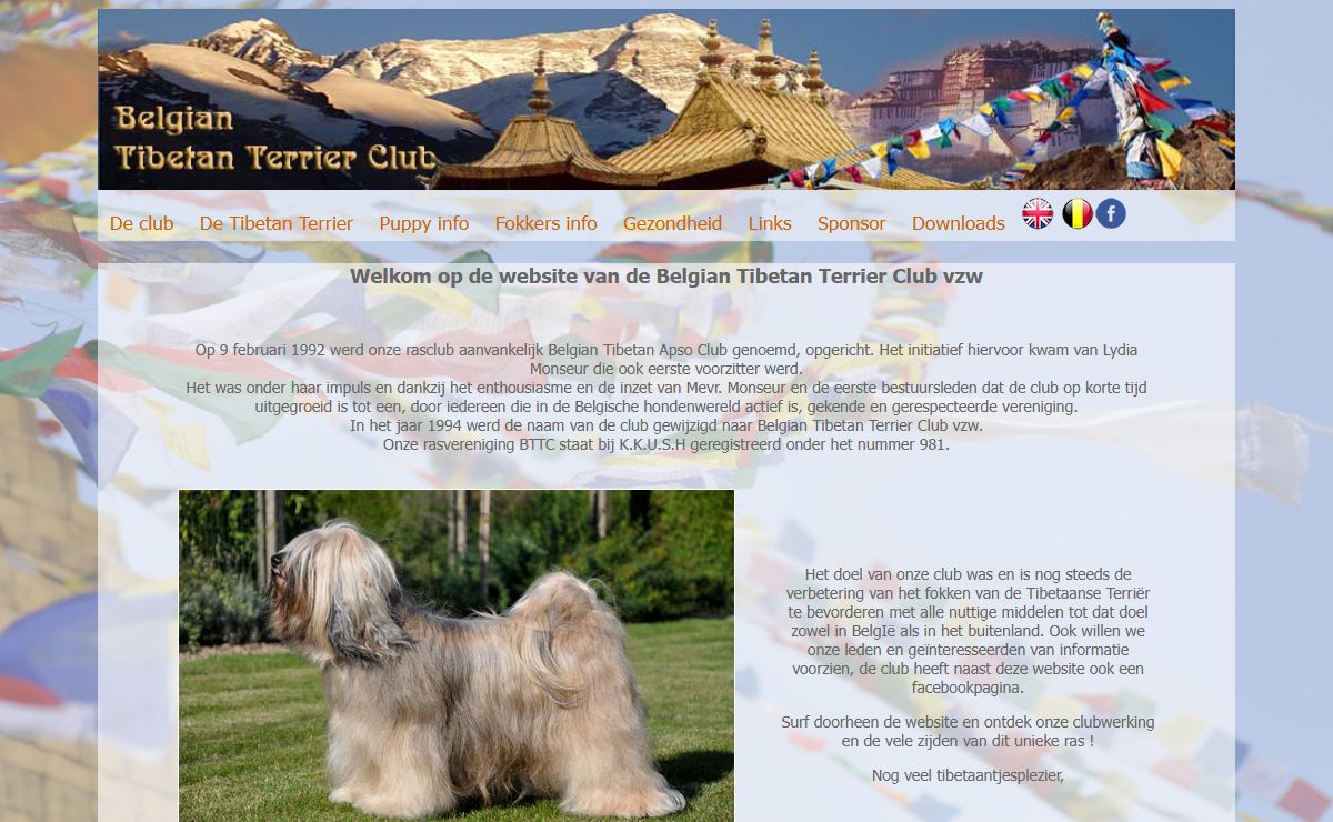 Belgian Tibetan Terrier Club