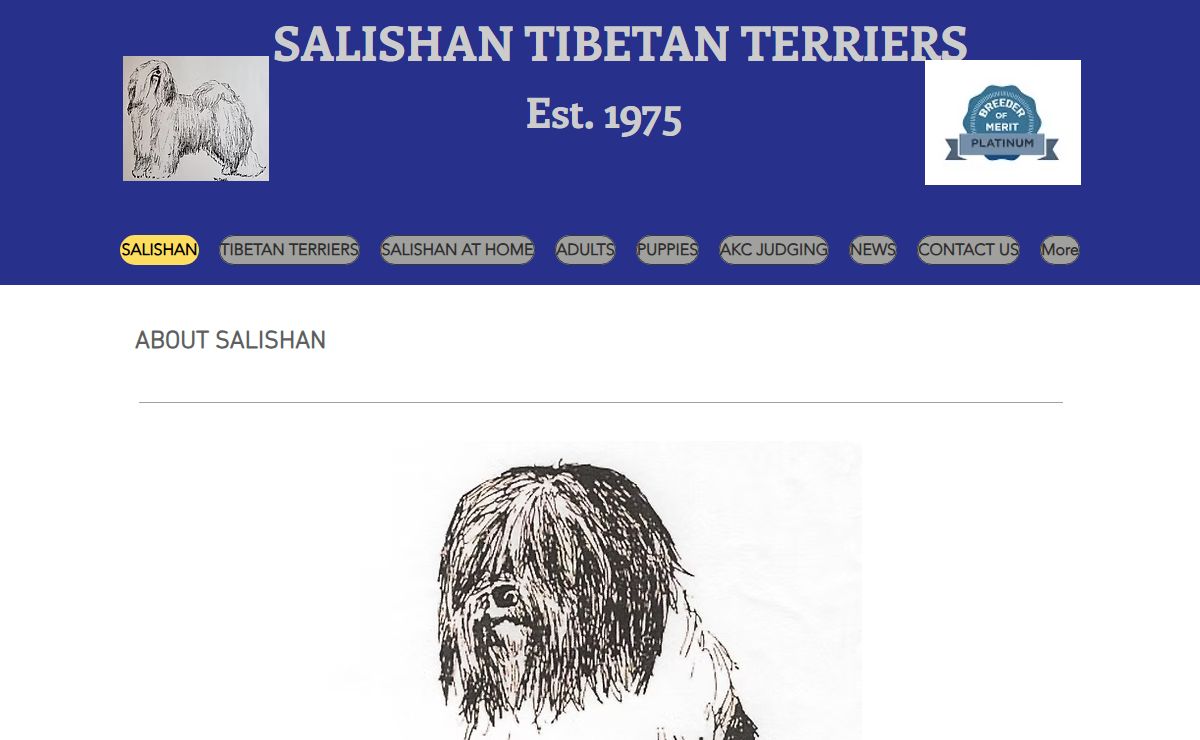 SALISHAN | Mysite