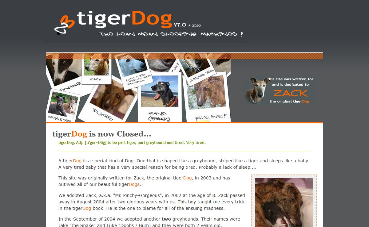 .: tigerDog -:- the lean mean sleeping machines :.      