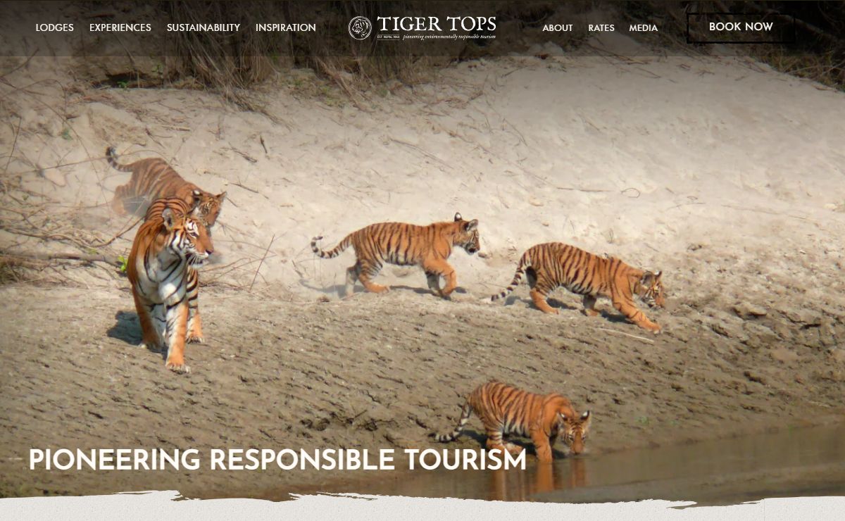 Tigertops - Pioneering Environmentally Responsible Tourism