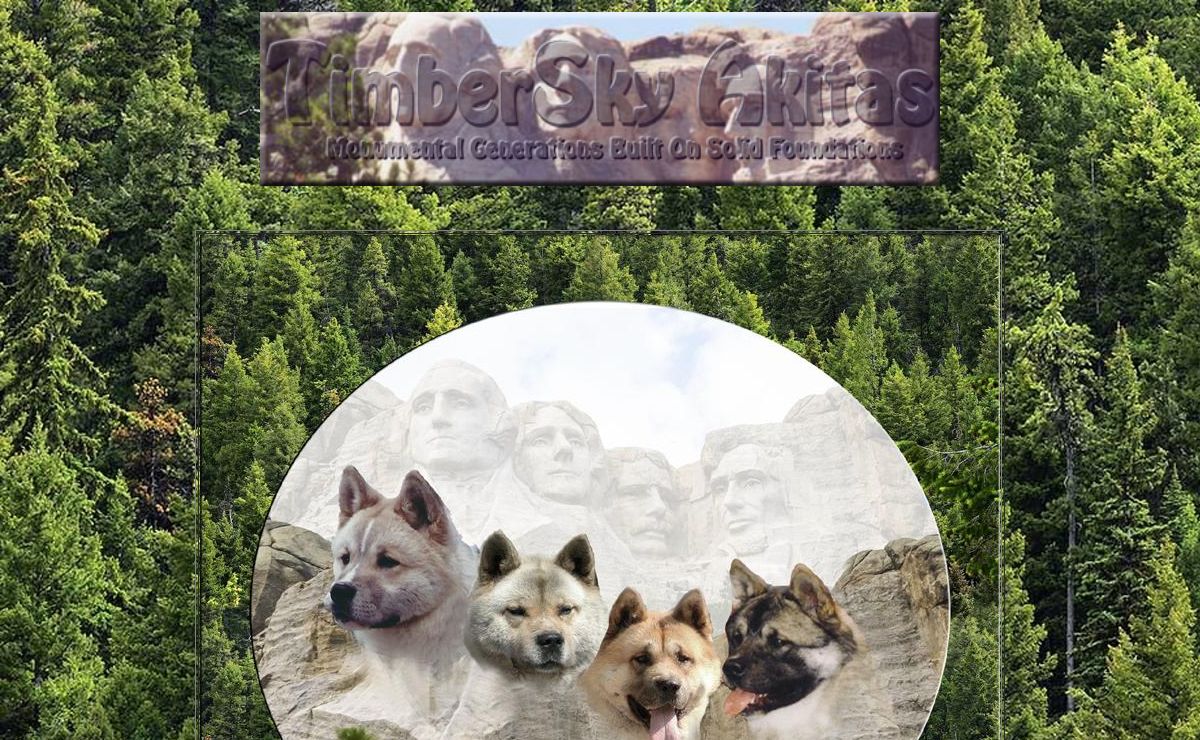 Timbersky Akitas